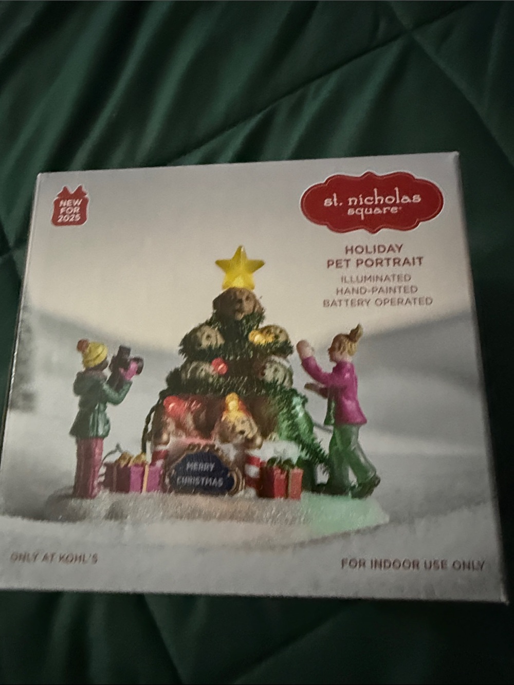 St. Nicholas Square Holiday Pet Portrait Illuminated Figurine - Green